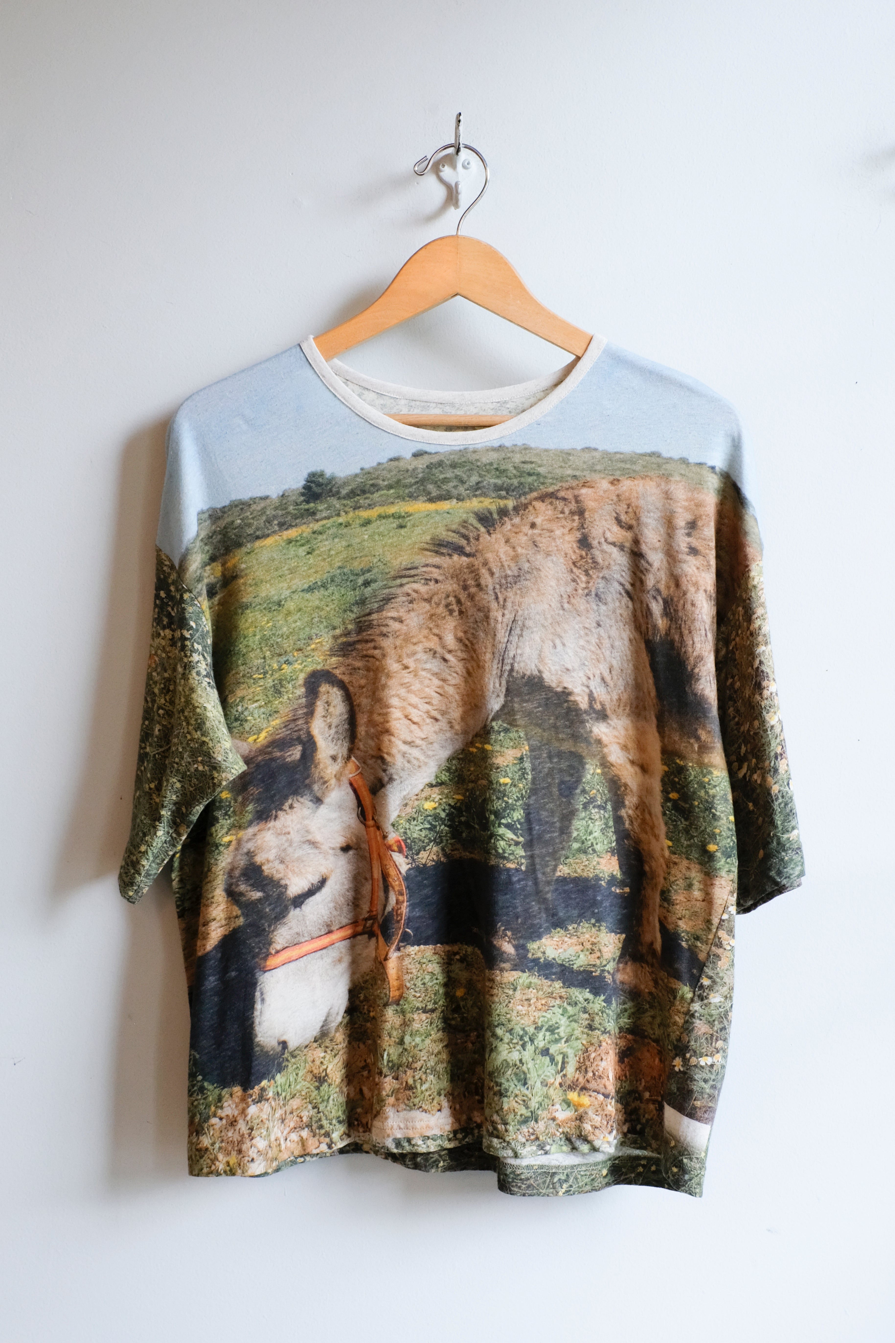 Anntian - Donkey T-Shirt - Print KL -front