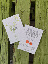 Load image into Gallery viewer, SAYE - brand card included with tomato seeds to grow your own tomato plant
